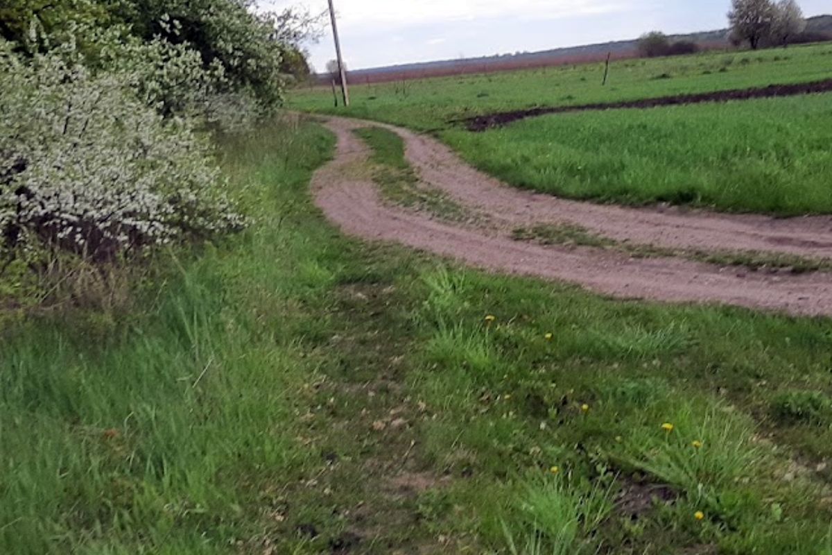 Детальніше про статтю <span class="reader-mode-buttons"></span>Протокол № 3 загальних зборів членів СТ «Покутівщина»<span class="reader-mode-buttons"></span>