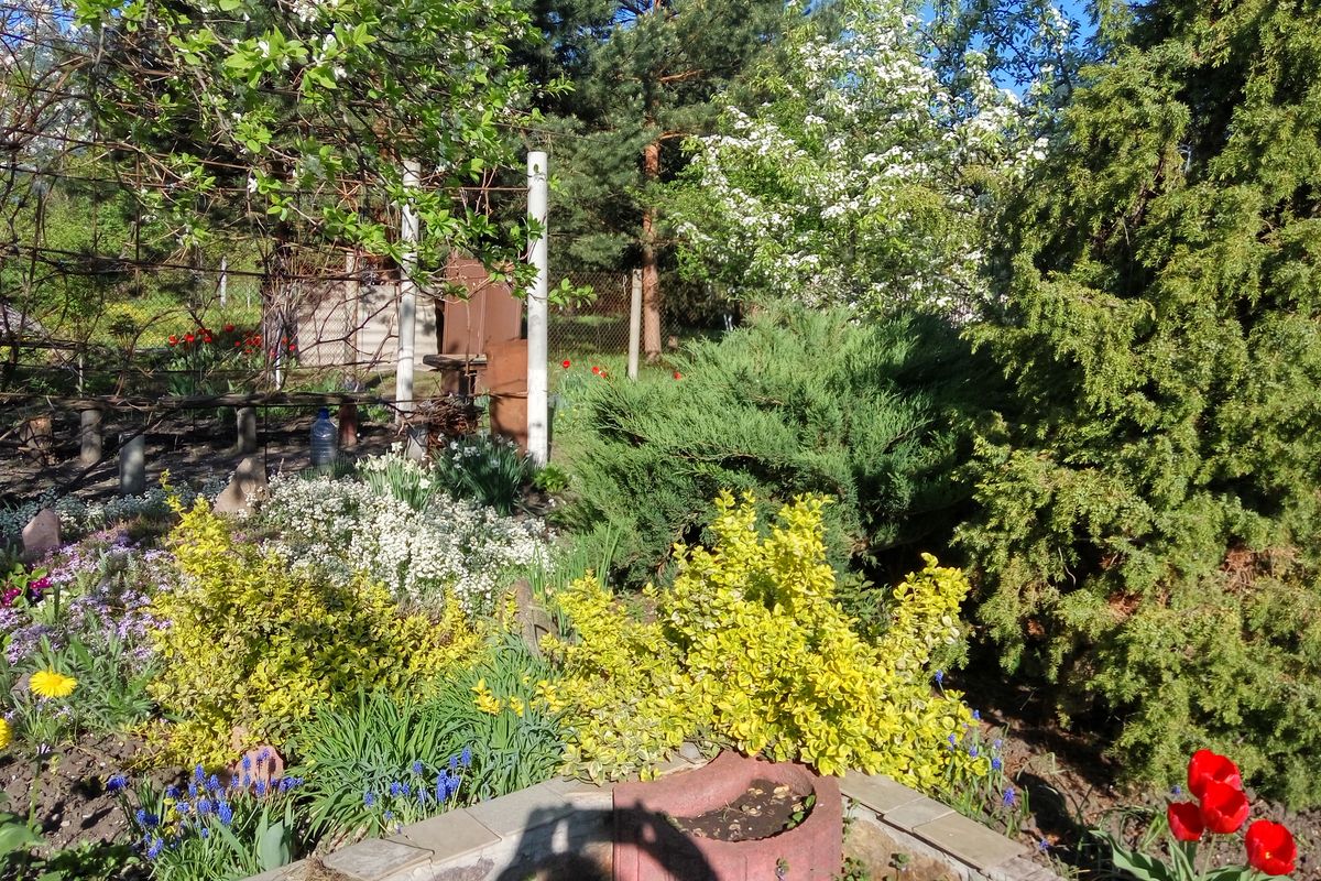 Детальніше про статтю <span class="reader-mode-buttons"></span>Обов’язки охоронців садового Товариства «Покутівщина»<span class="reader-mode-buttons"></span>