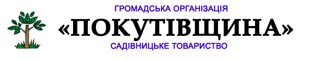 Громадська організація «ПОКУТІВЩИНА»
