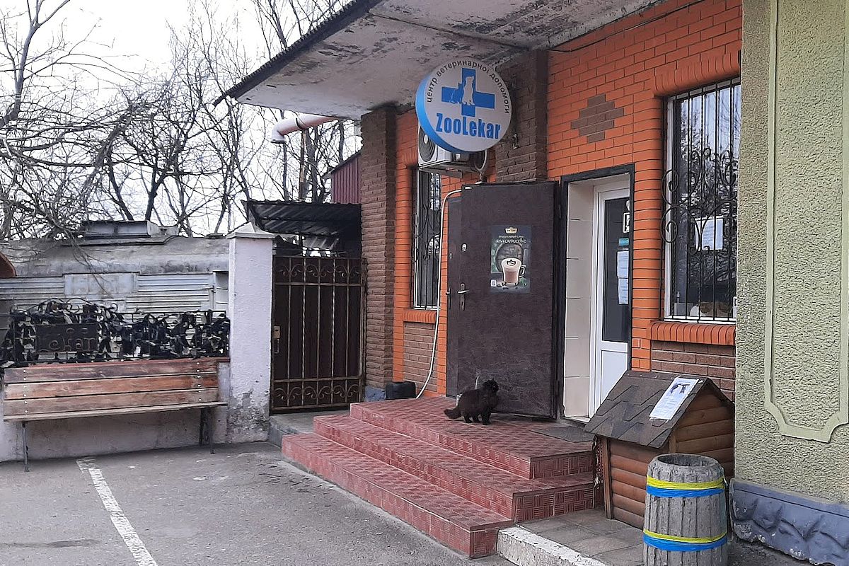 Ви зараз переглядаєте <span class="reader-mode-buttons"><span class="reader-mode-time style-default size-medium"><span class="time-icon-wrap"><span class="reader-mode-time__icon" style="--time-icon: url(../images/icons/time/1.svg) no-repeat center / contain"></span></span> <span class="reader-mode-time__text">1 хвилин читання</span></span></span>Ветеринарна допомога поряд з нами<span class="reader-mode-buttons"></span>